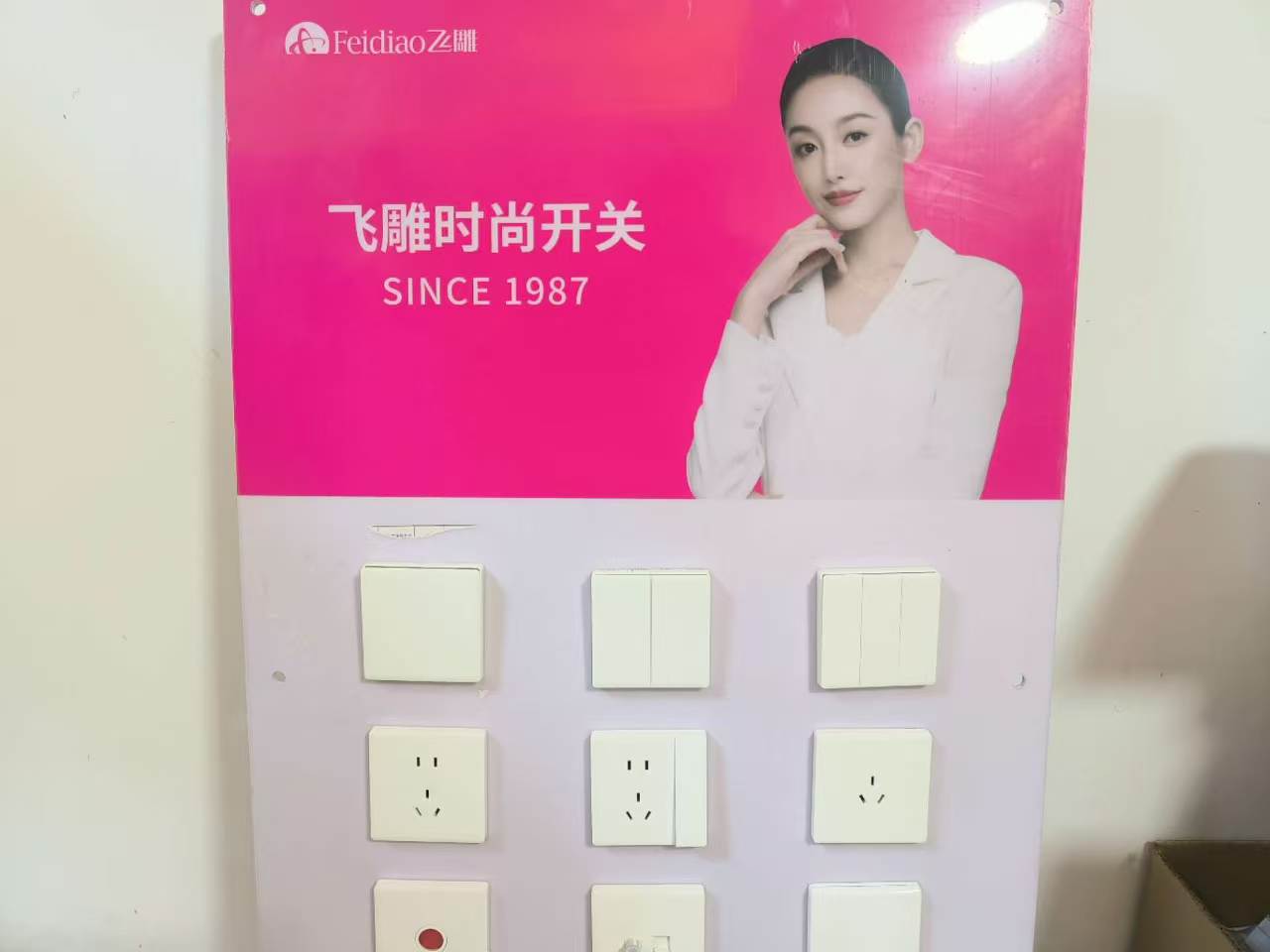 开关插座：飞雕
